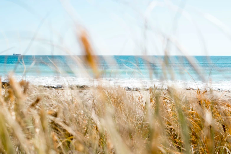 the sand is very soft and gentle on the beach