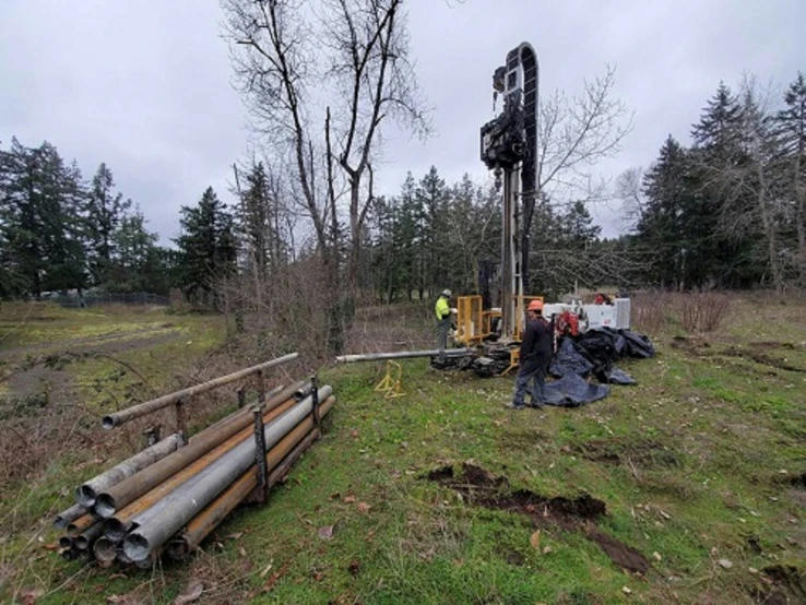 there are pipe laying on the ground in the woods