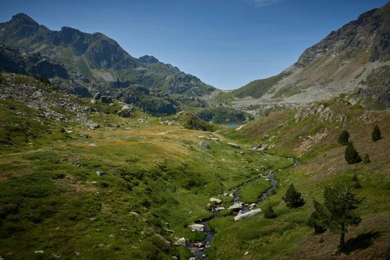 small streams meandering through a green mountain valley