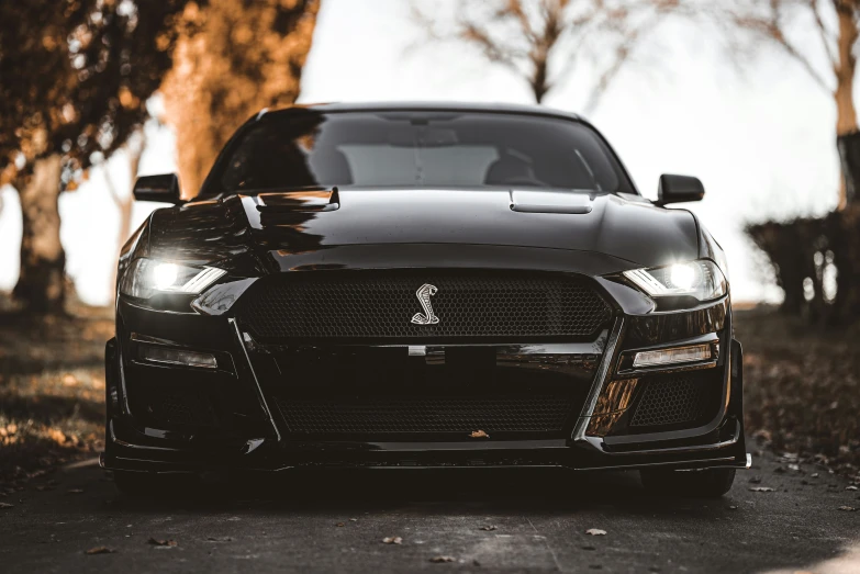 the black ford mustang parked in a field of trees