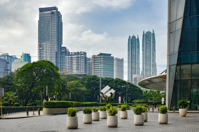 a group of potted plants sitting on a cement field