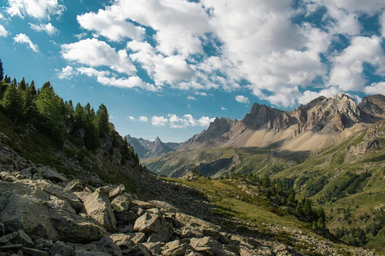 mountain landscape with clouds and pine trees