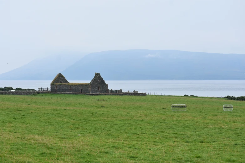 two sheep grazing in a green field near the ocean