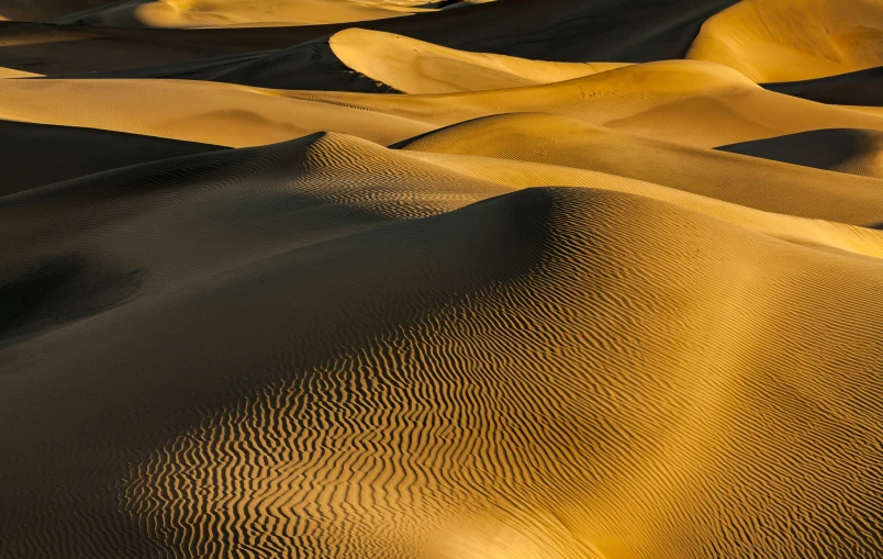 the vast yellow sand dunes stretch through the desert