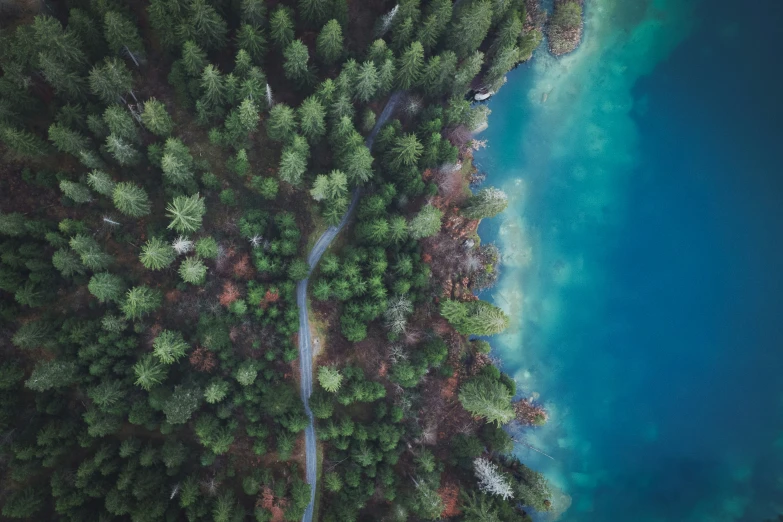 an aerial view of a tree - lined forest looking down at the water