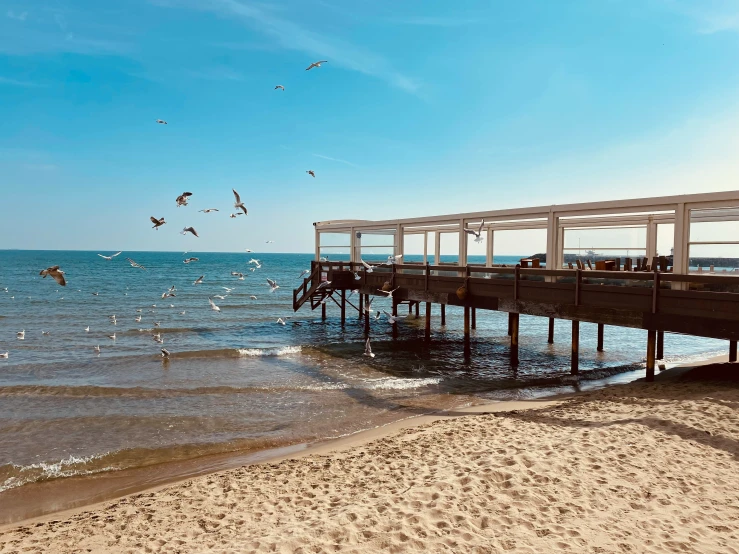 many birds are flying near the beach and pier