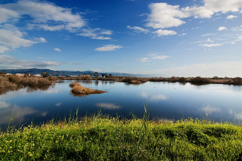 a grassy area in the middle of a body of water