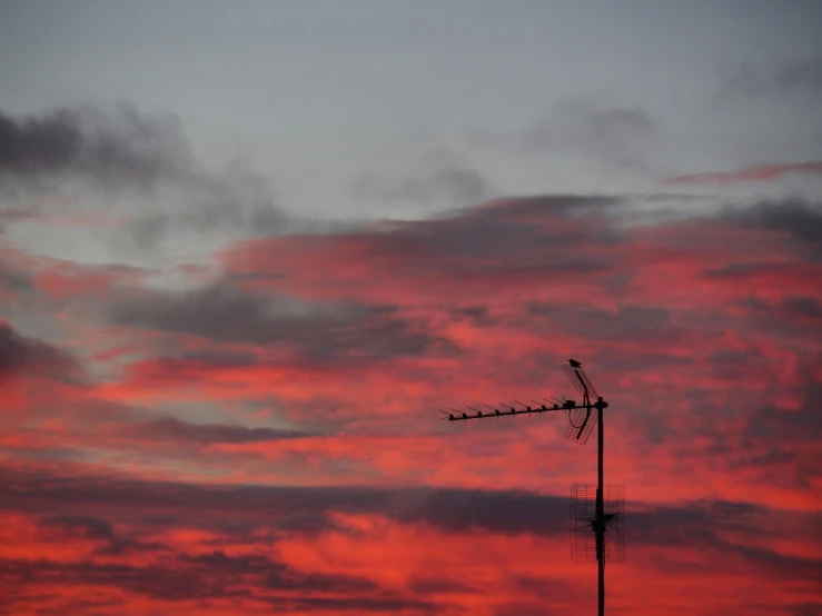 a red sunset with some black antennas in it