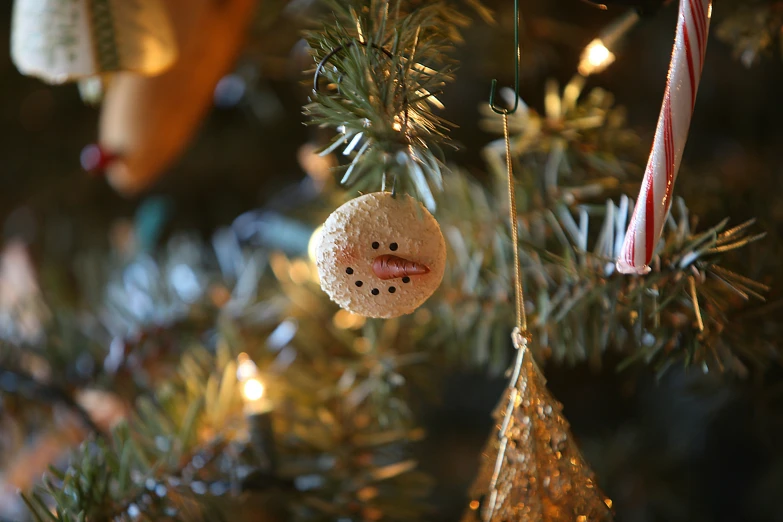 christmas ornaments that are sitting in a tree