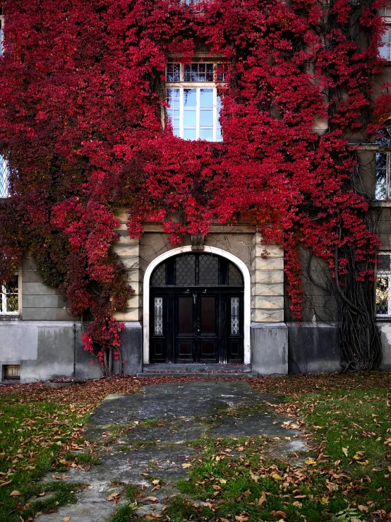 there is a black door with red flowers on it