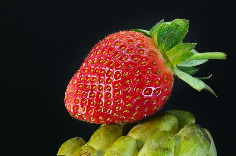a very large strawberry has some leaves on it