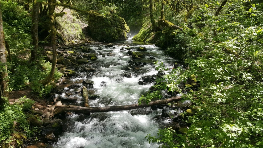 a river is surrounded by trees and rocks