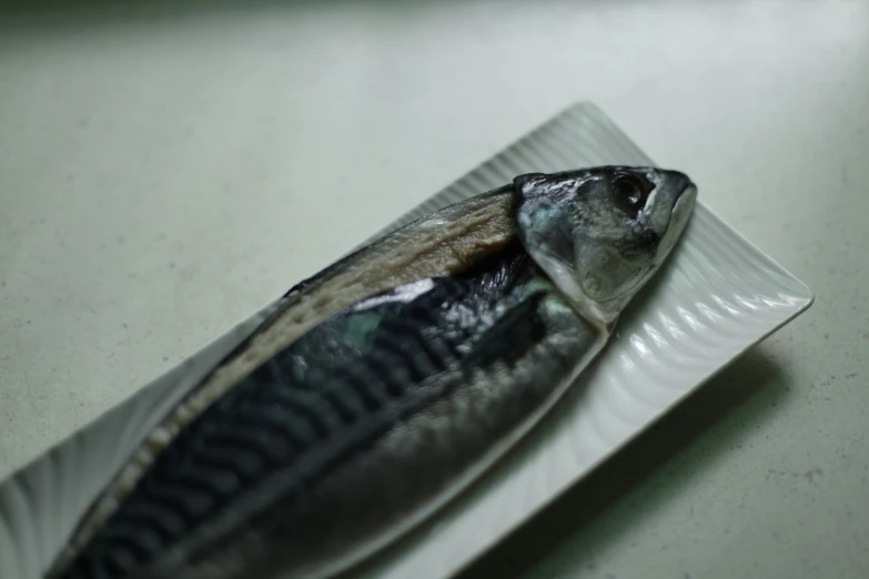 a fish on a white plate on a table