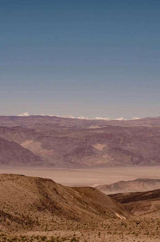 a large plain with a lone bird on top