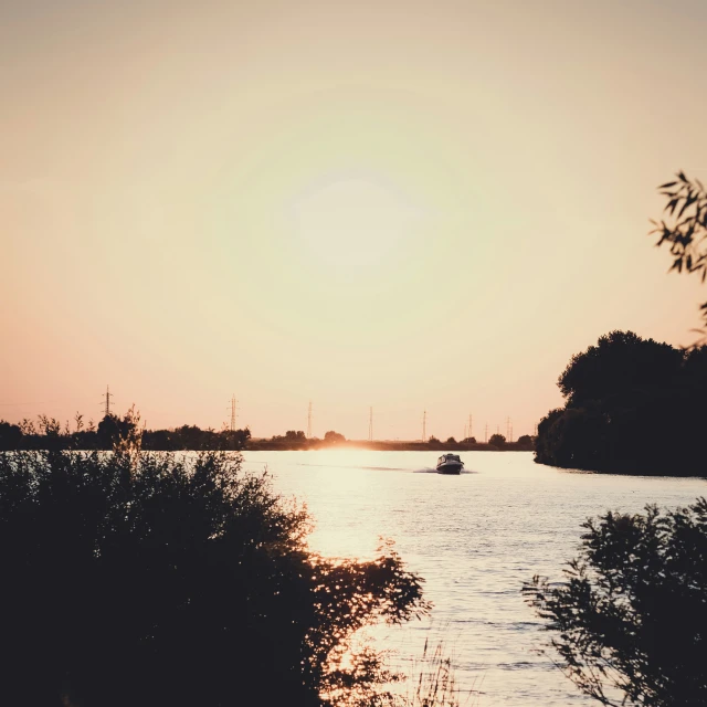 a body of water with trees and bushes near by