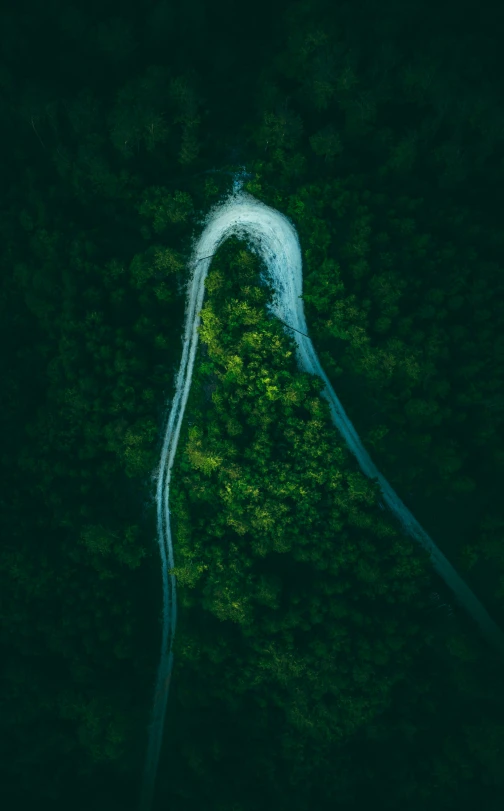 the top view of a forest with green trees