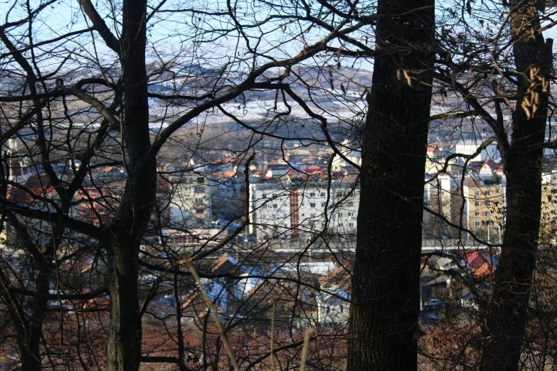 the view from the park overlooking the city is filled with buildings and trees