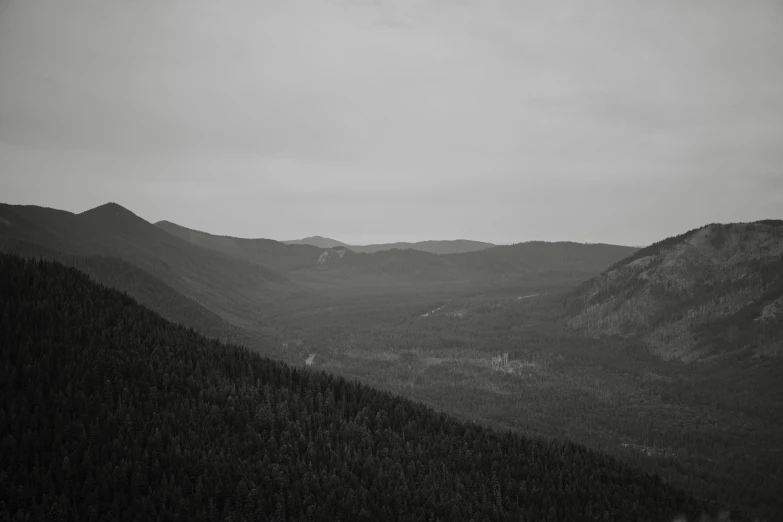 a black and white po of mountains with trees