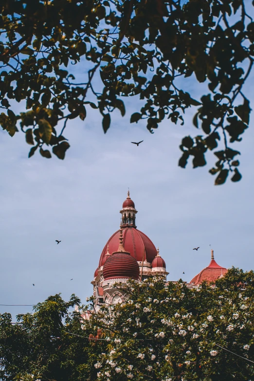 birds fly below a large tower near trees