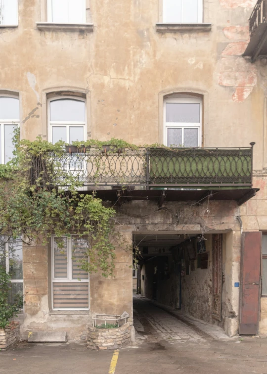 an abandoned apartment building has a plant growing from the window