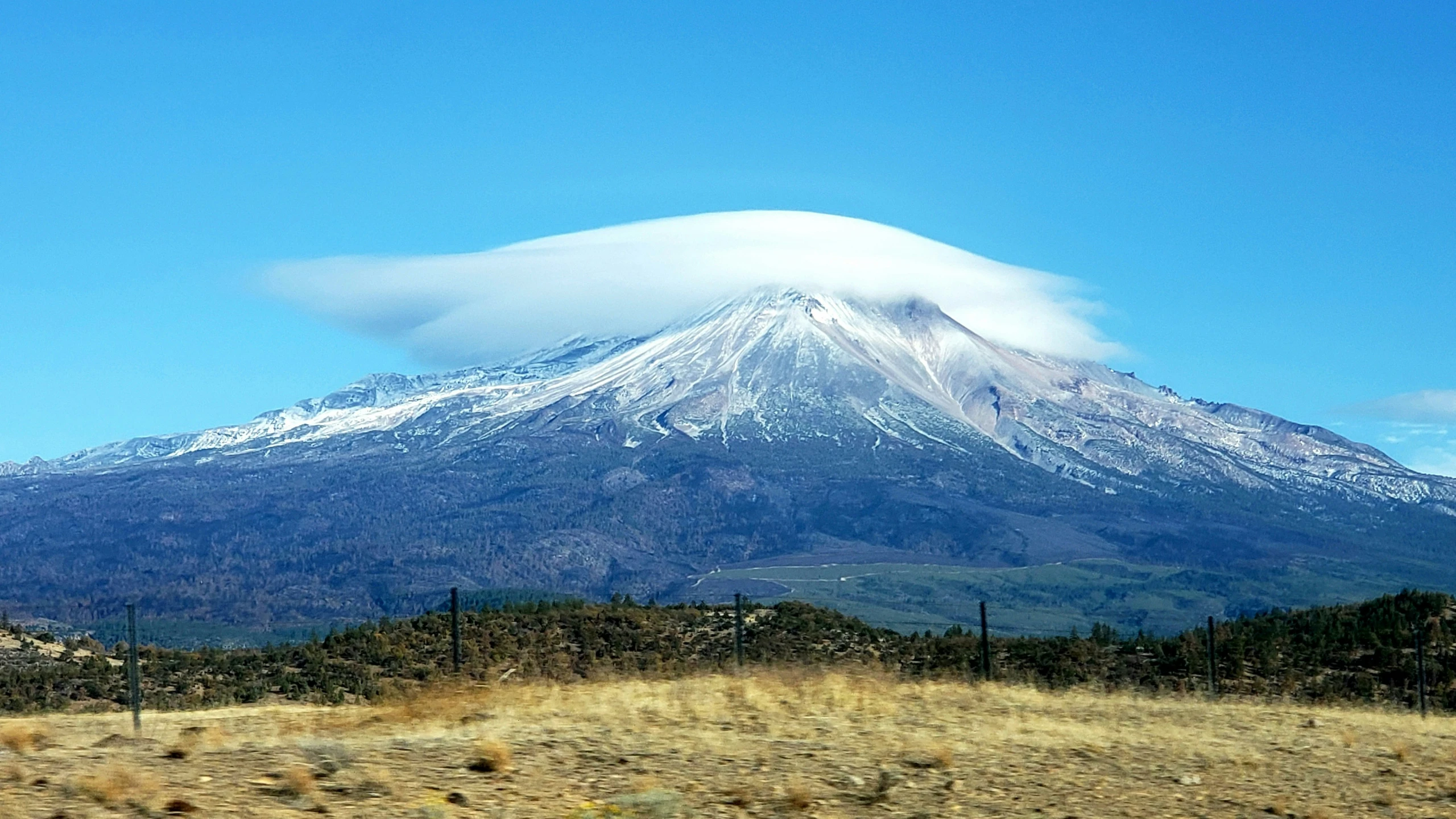 a snow covered mountain with trees in the foreground