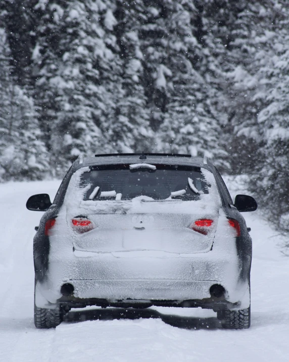 a car driving in the snow near trees