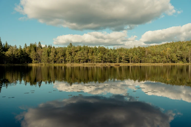 the lake is calm and empty with lots of trees