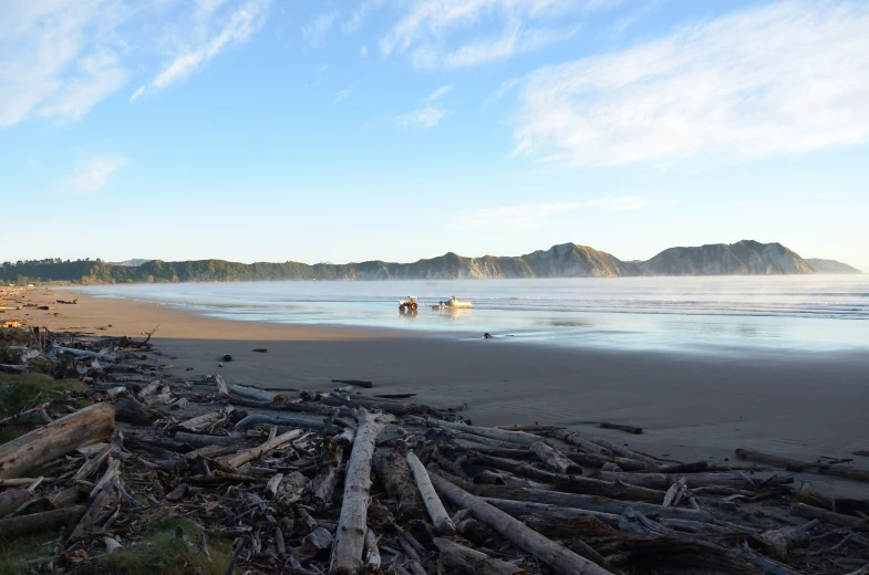 there are many logs that have been placed on the beach