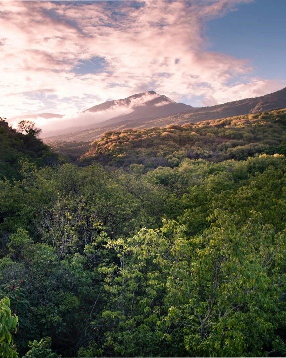 a mountain surrounded by lots of trees in the distance