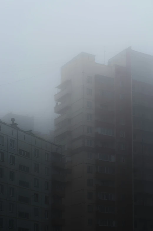 two buildings surrounded by fog with a bird in the air