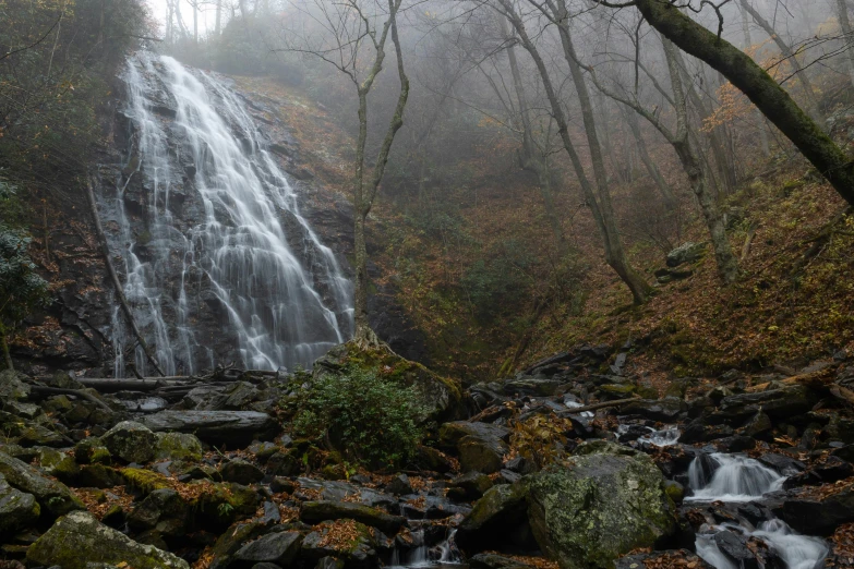 a large waterfall in the middle of a forest filled with green leaves