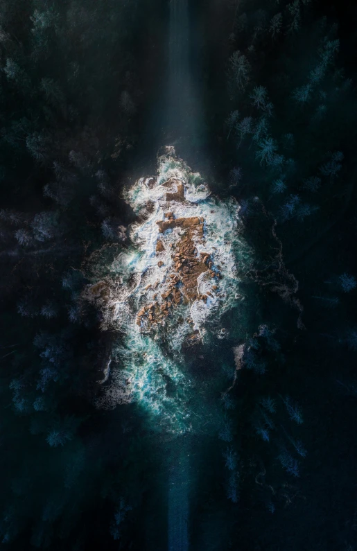 an aerial view of a forest covered in white snow