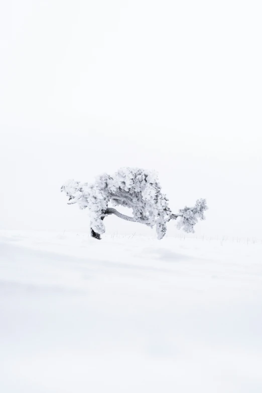 some white snow clouds and a black and white object