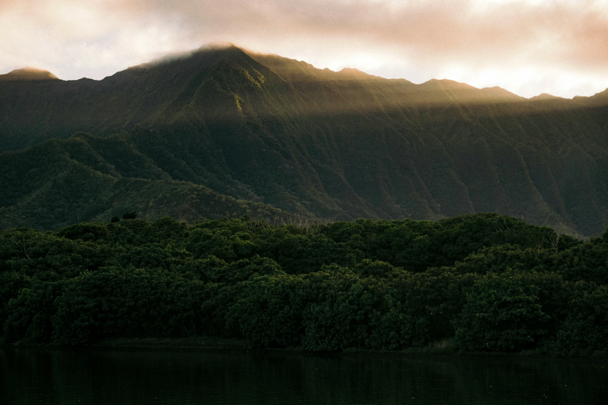 a couple of large mountains in a forest