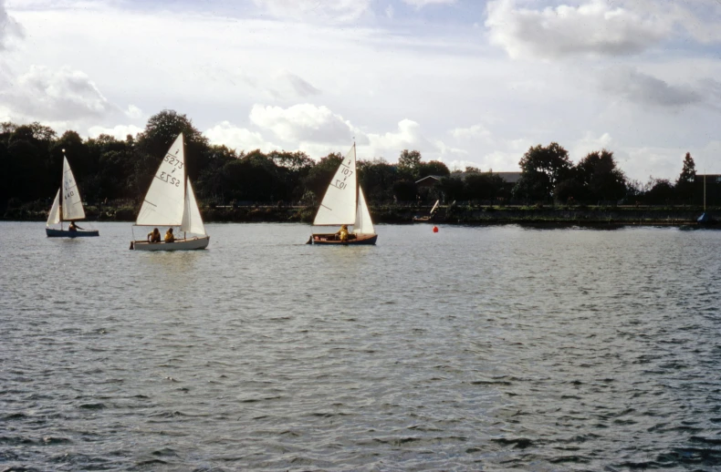 sail boats in a lake with trees and a bridge behind them