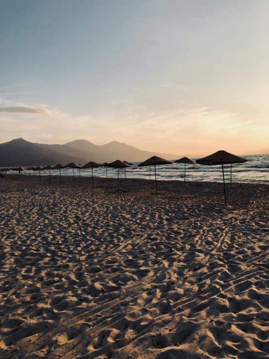 many umbrellas on a beach near the ocean