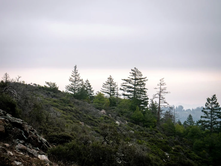 lone person stands on the edge of a mountain