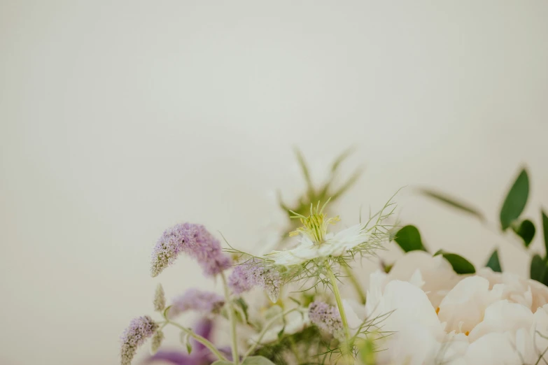 flowers in a vase and a plain wall