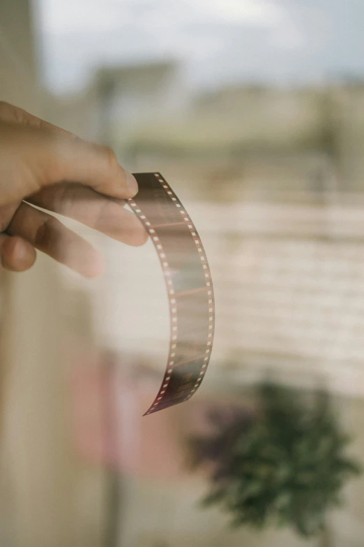 someone is holding a film strip over a plant