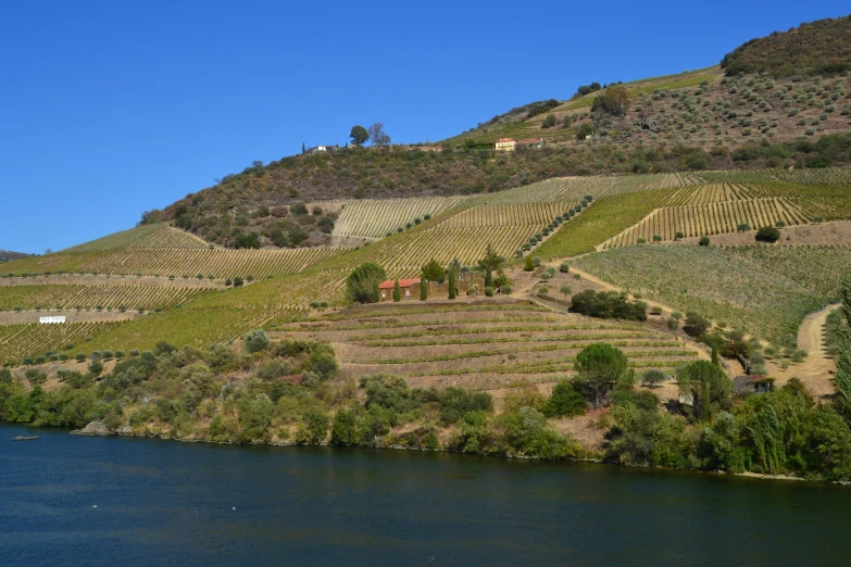 many green trees and bushes line a hill above a river