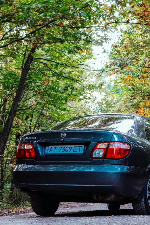 an automobile on a paved road surrounded by trees