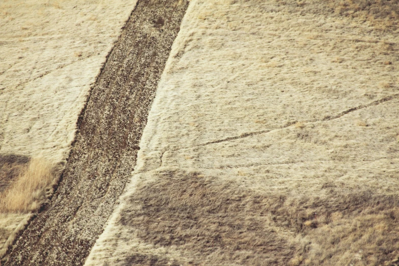 a bird flies over some dirt next to grass