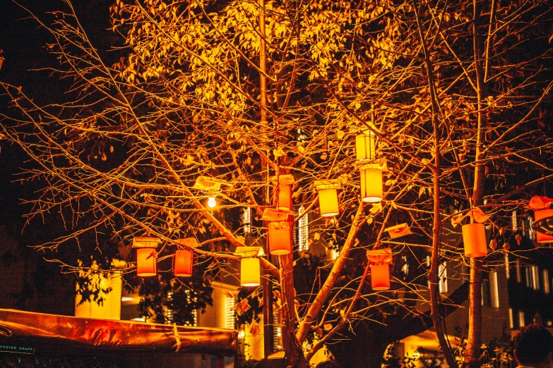 an illuminated tree with red lanterns around it