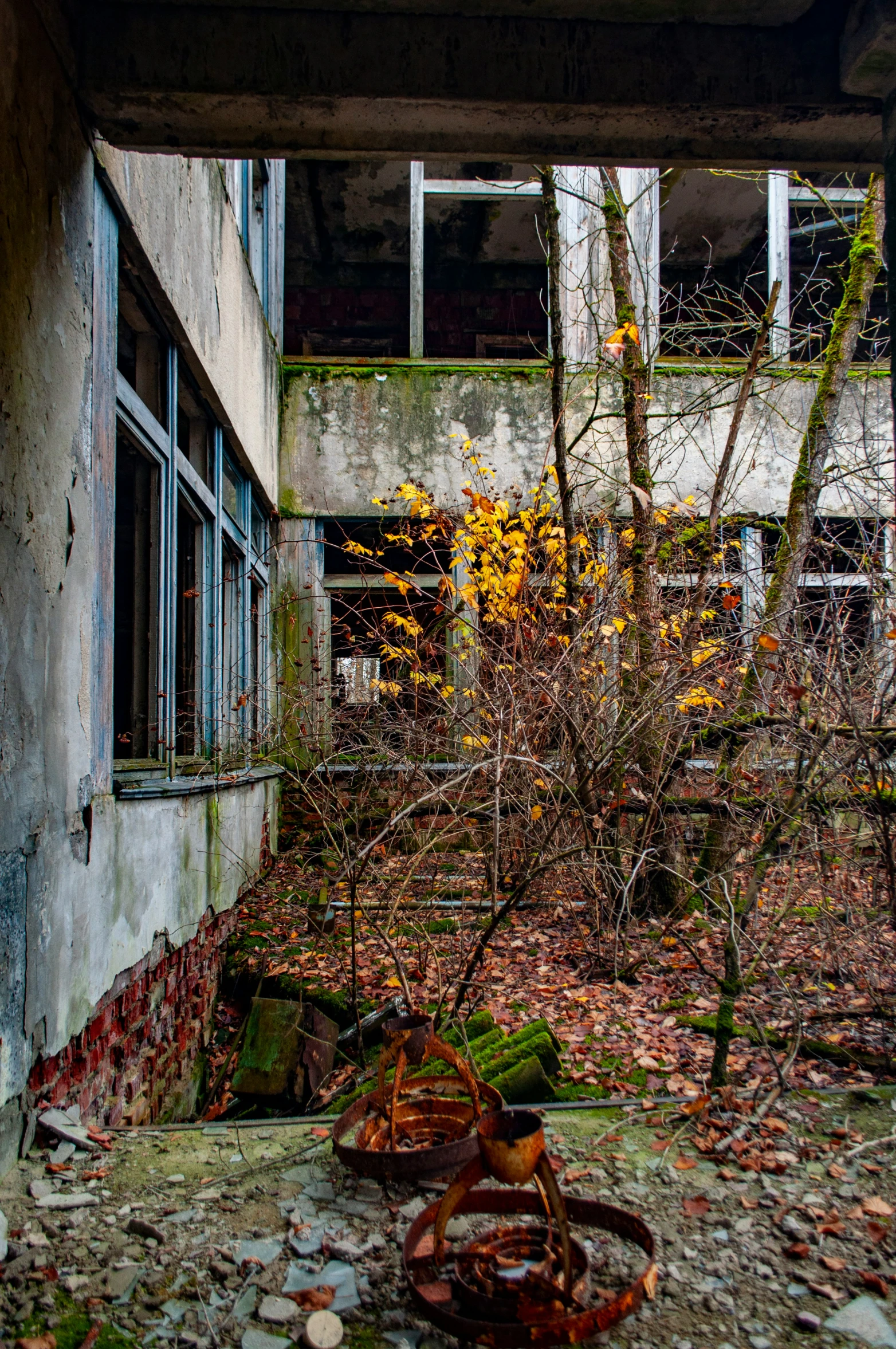 an old rundown, dilapidated building with broken windows and leaves