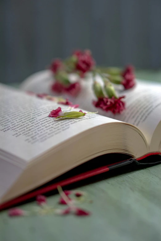 the book is open on the table with flowers