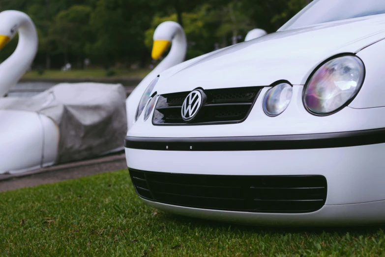 some white cars parked in the grass with swan swans behind them