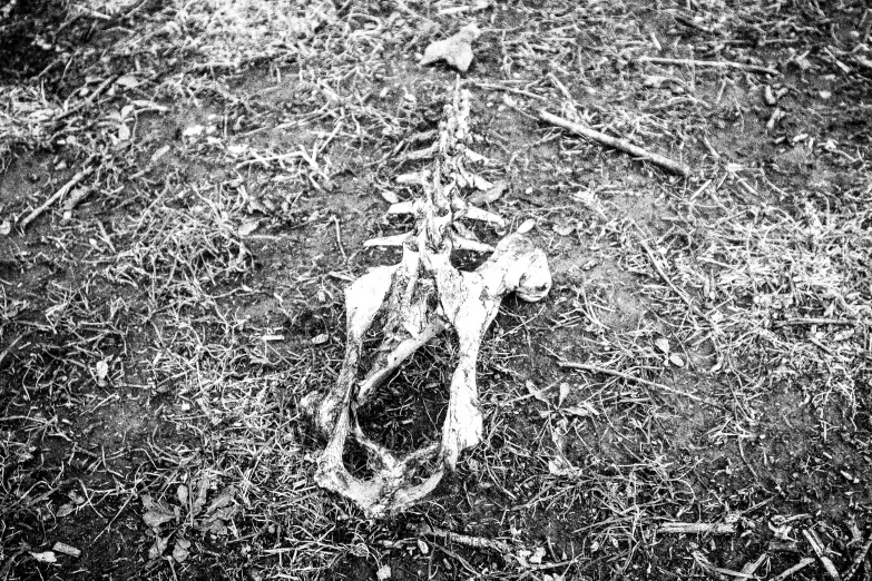 a black and white po of a pair of shoes sitting on the ground