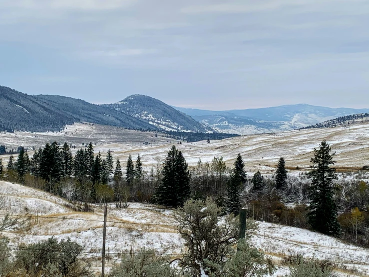 the trees are out in the snow covered landscape