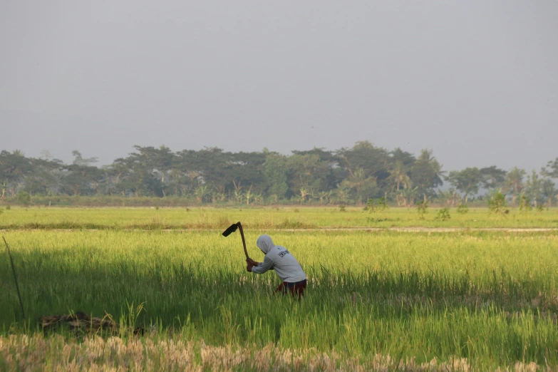 a person in a field with a pole