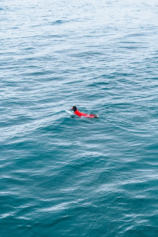 person on surfboard swimming through the water